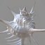 3d model of melanacantha sea shell photorealistic