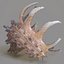 3d model of melanacantha sea shell photorealistic
