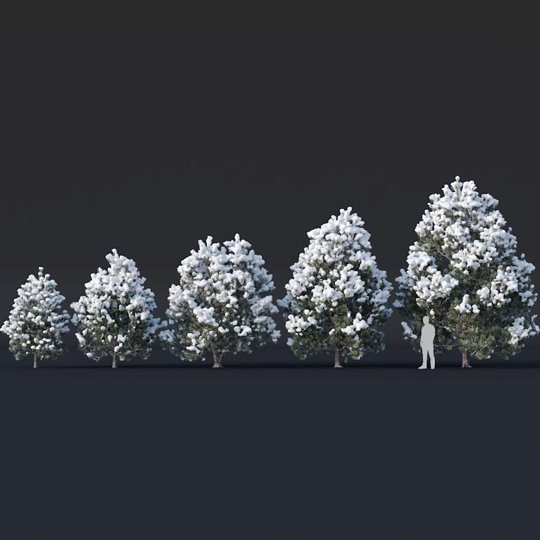pines snow needles 3D model https://p.turbosquid.com/ts-thumb/UJ/SVJwkl/3TeVYfYT/pine8/png/1560759351/1920x1080/fit_q87/60c19499d28b887234045f32d531e589519e8e2c/pine8.jpg