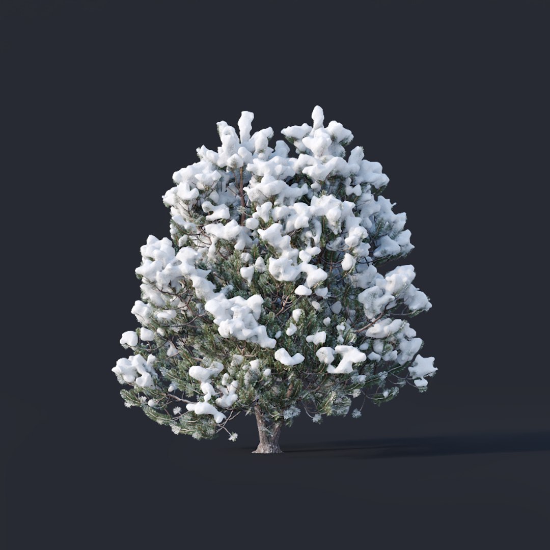 pines snow needles 3D model https://p.turbosquid.com/ts-thumb/UJ/SVJwkl/JDDSHaa2/pine6/jpg/1560759351/1920x1080/fit_q87/d45ec40d0255019cdf0f1f2d9c7a1cefe70439c8/pine6.jpg