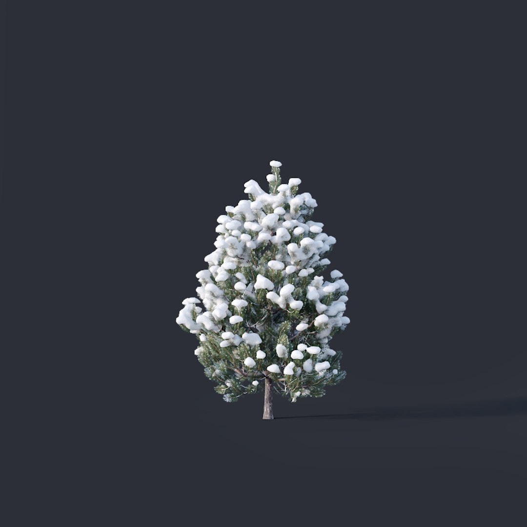 pines snow needles 3D model https://p.turbosquid.com/ts-thumb/UJ/SVJwkl/lYkVNGYE/pine7/jpg/1560759351/1920x1080/fit_q87/7c2ebbd822160f75d2cd416a8ba98ebd63b9684d/pine7.jpg