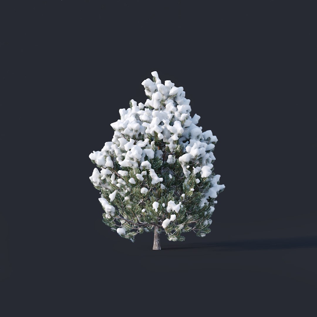 pines snow needles 3D model https://p.turbosquid.com/ts-thumb/UJ/SVJwkl/u4DbvY7n/pine5/jpg/1560759351/1920x1080/fit_q87/3c1d72fd7d738391832f83ecb9ec66fd5c1a4540/pine5.jpg
