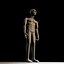 Alien Character