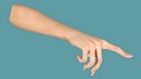 Realistic Female Hand Rigged for Cinema 4D