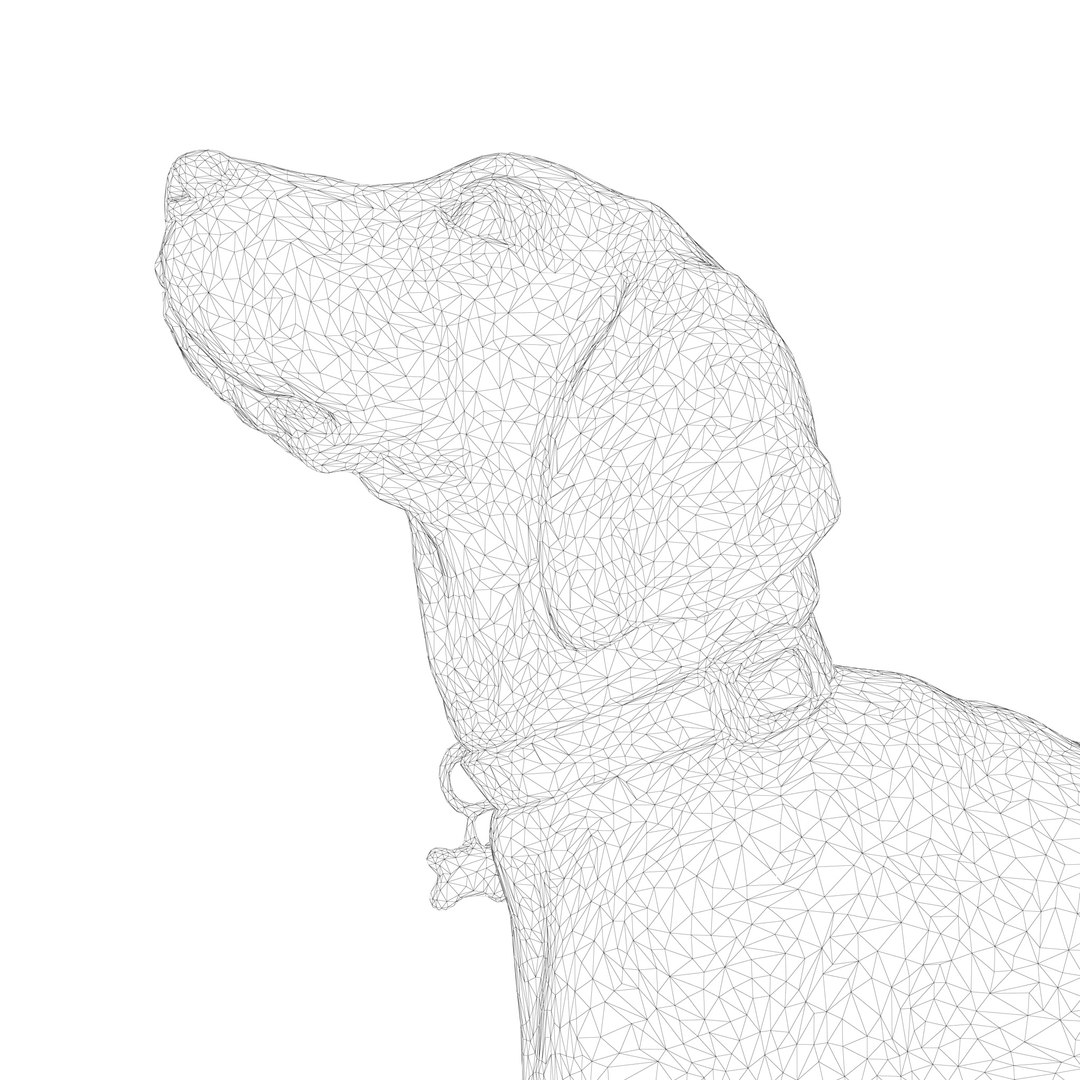 3D beagle standing model https://p.turbosquid.com/ts-thumb/UJ/ijuC0U/9qNOUmtN/00001/jpg/1503342013/1920x1080/fit_q87/3336057eaccb0e2af5b64da132c3520b27d25fe4/00001.jpg
