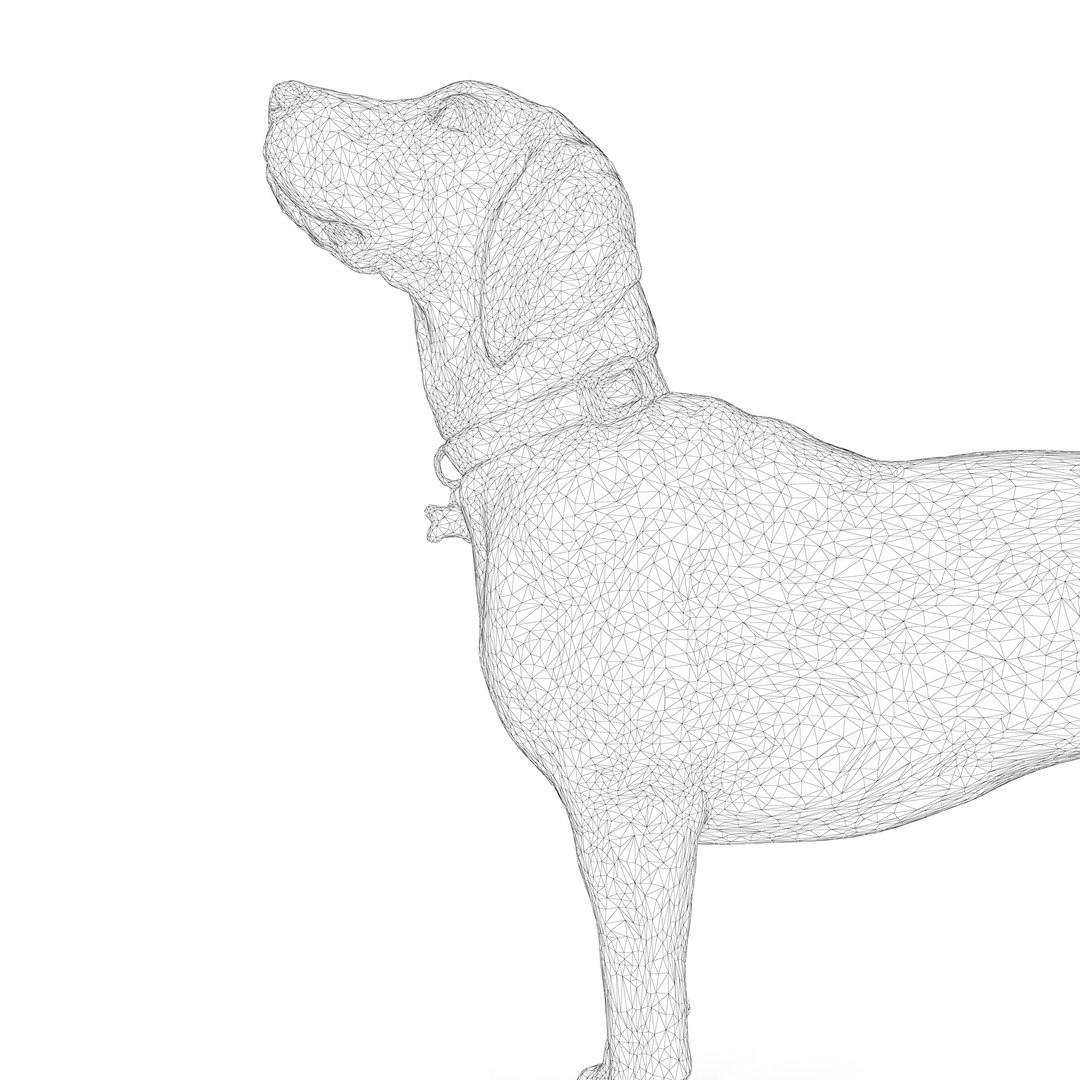 3D beagle standing model https://p.turbosquid.com/ts-thumb/UJ/ijuC0U/LgLZrPtP/00008/jpg/1503342013/1920x1080/fit_q87/15f8857465305f376f517096b375b89a1d8c98e1/00008.jpg