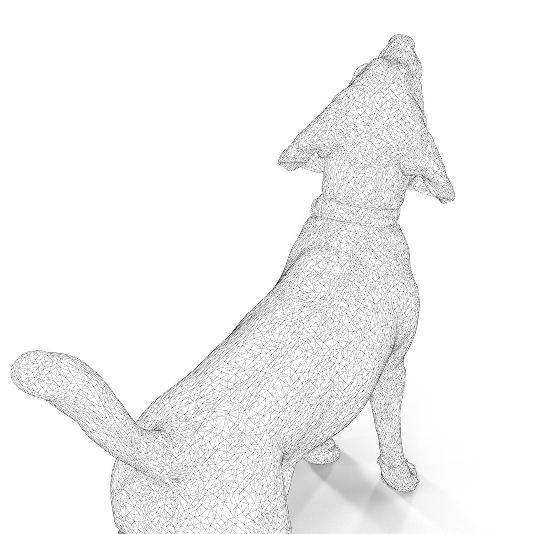 3D beagle standing model https://p.turbosquid.com/ts-thumb/UJ/ijuC0U/QpQksJEl/00012/jpg/1503342014/1920x1080/fit_q87/78d5a4b6a26eeca9c479f636cceef6750586242a/00012.jpg