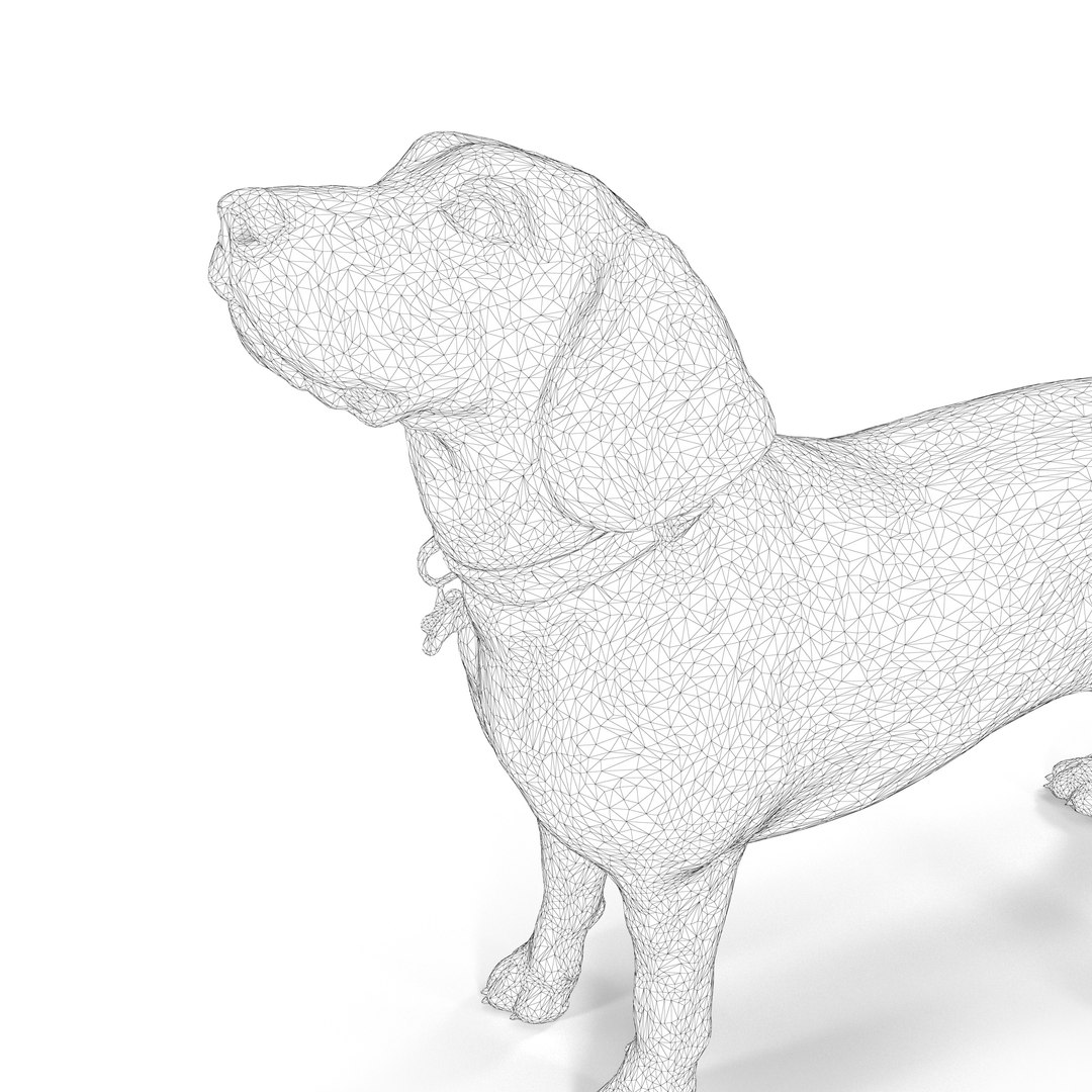 3D beagle standing model https://p.turbosquid.com/ts-thumb/UJ/ijuC0U/VOvknZVk/00003/jpg/1503342013/1920x1080/fit_q87/f6af169e66faa34439258040dbb7d267aa830150/00003.jpg