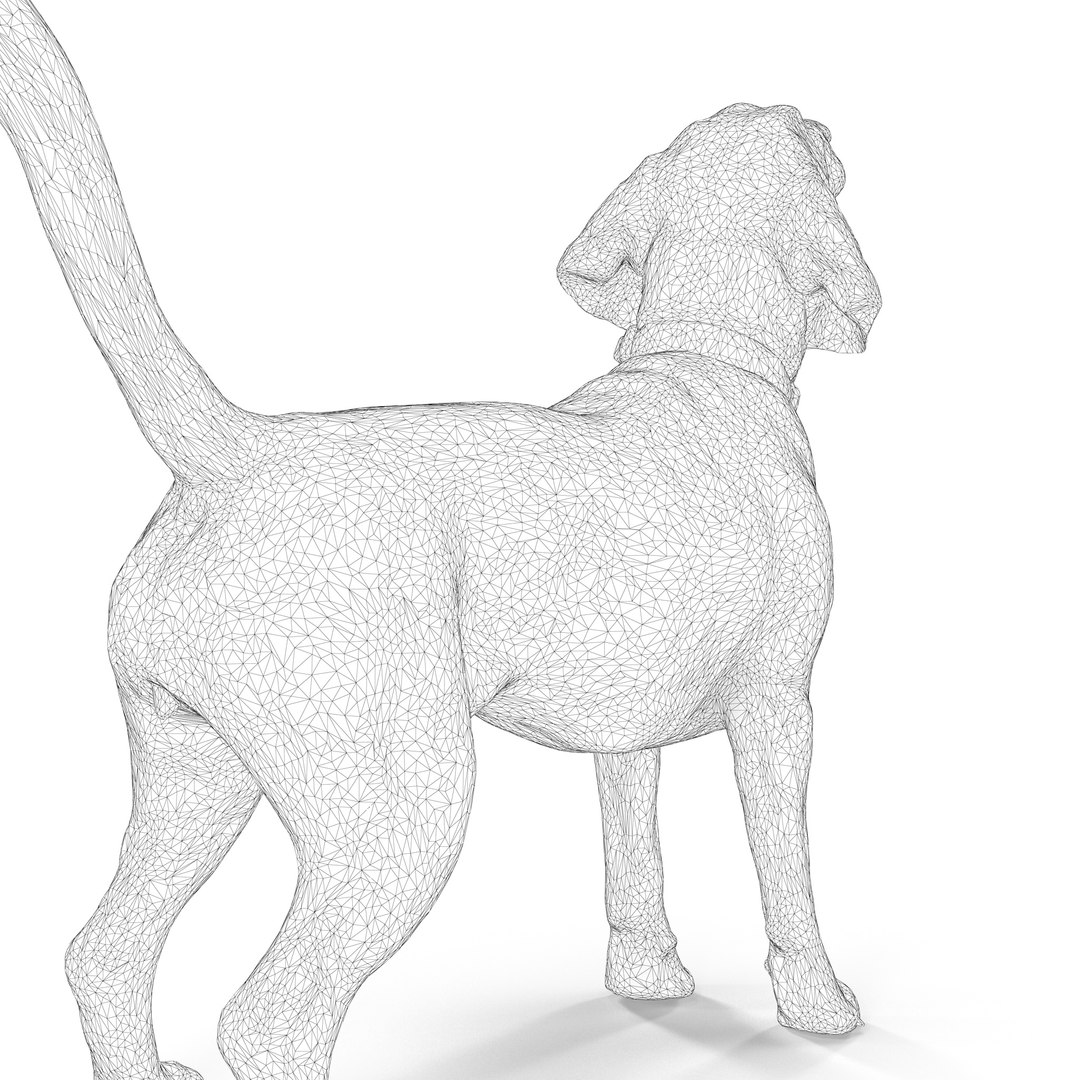 3D beagle standing model https://p.turbosquid.com/ts-thumb/UJ/ijuC0U/VoYwtoL9/00005/jpg/1503342013/1920x1080/fit_q87/fa022ab84374bece50a58c048447beb653bd3087/00005.jpg