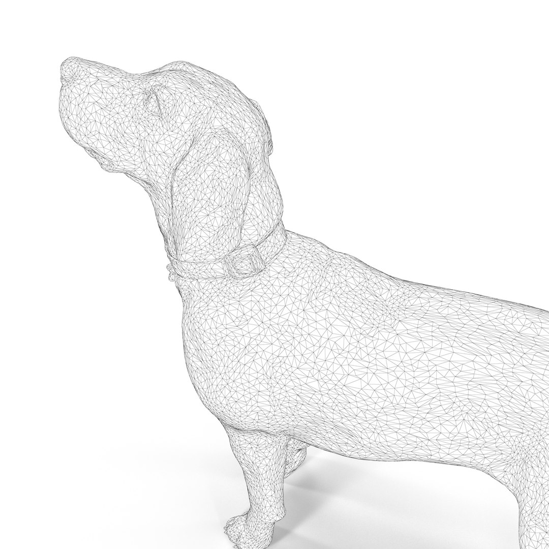 3D beagle standing model https://p.turbosquid.com/ts-thumb/UJ/ijuC0U/hBDe0XEy/00010/jpg/1503342013/1920x1080/fit_q87/00dcf6948c1871e44b8c7ee10fd1a09a4d2a7cba/00010.jpg