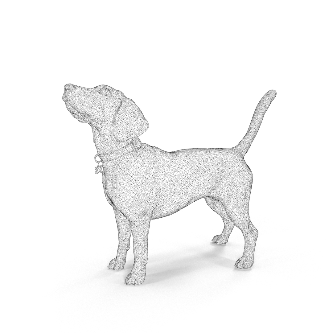 3D beagle standing model https://p.turbosquid.com/ts-thumb/UJ/ijuC0U/kwEebbZ0/00000/jpg/1503342036/1920x1080/turn_fit_q99/5f179063254c408cde934ac9ac8e1723ae23c91a/00000-1.jpg
