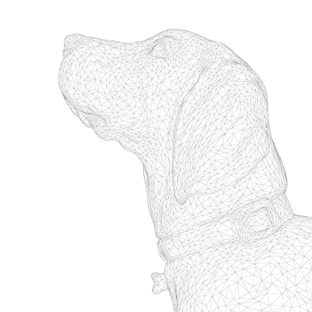 3D beagle standing model https://p.turbosquid.com/ts-thumb/UJ/ijuC0U/sFOxQsvC/00004/jpg/1503342013/1920x1080/fit_q87/44243d66f8fd52b2168f73033448eeff161119ea/00004.jpg