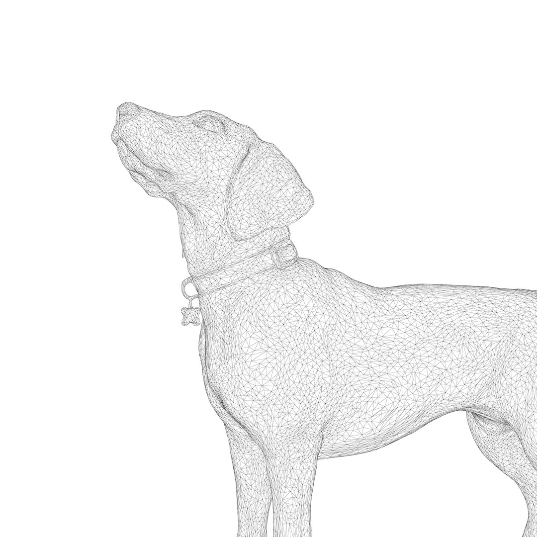 3D beagle standing model https://p.turbosquid.com/ts-thumb/UJ/ijuC0U/uOMLFmxC/00002/jpg/1503342013/1920x1080/fit_q87/14ed5ffdab70e18feb00f4e51de169f42ae48d84/00002.jpg