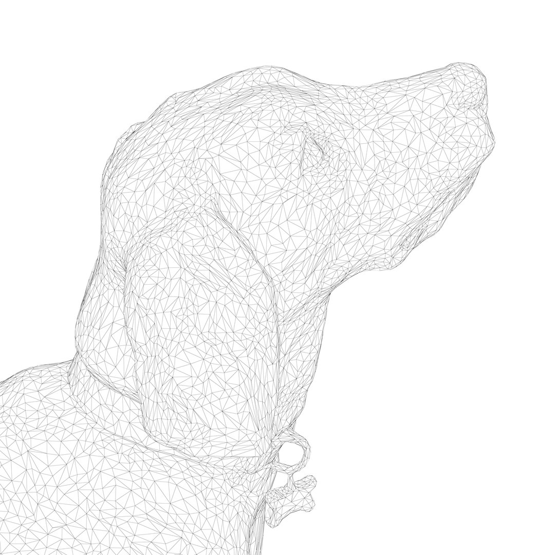 3D beagle standing model https://p.turbosquid.com/ts-thumb/UJ/ijuC0U/wxdYqsy0/00007/jpg/1503342013/1920x1080/fit_q87/56946899ec62bbf7437d9ff8d7a7bcbf90727ff8/00007.jpg