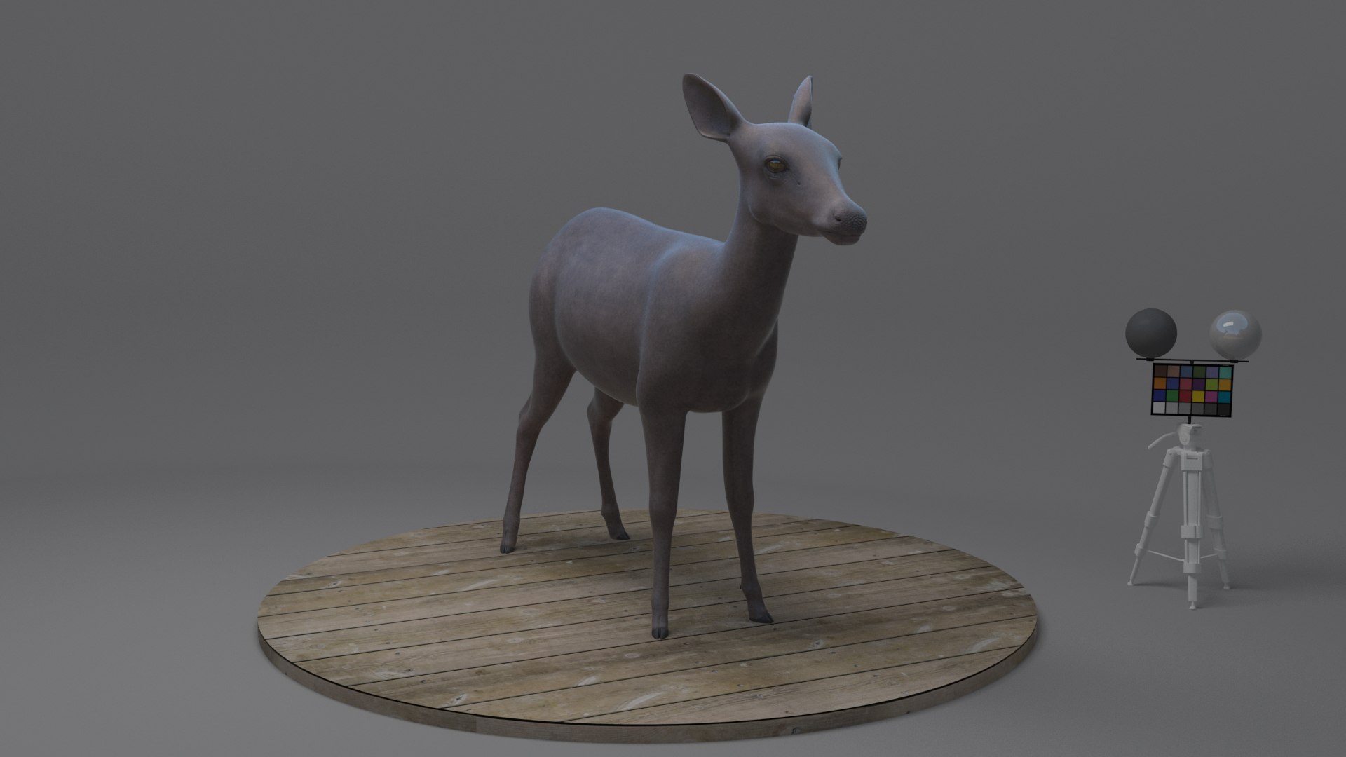 Asian Deer 3D Model - TurboSquid 2240933