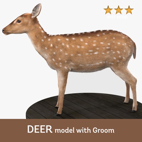 Asian Deer 3D model