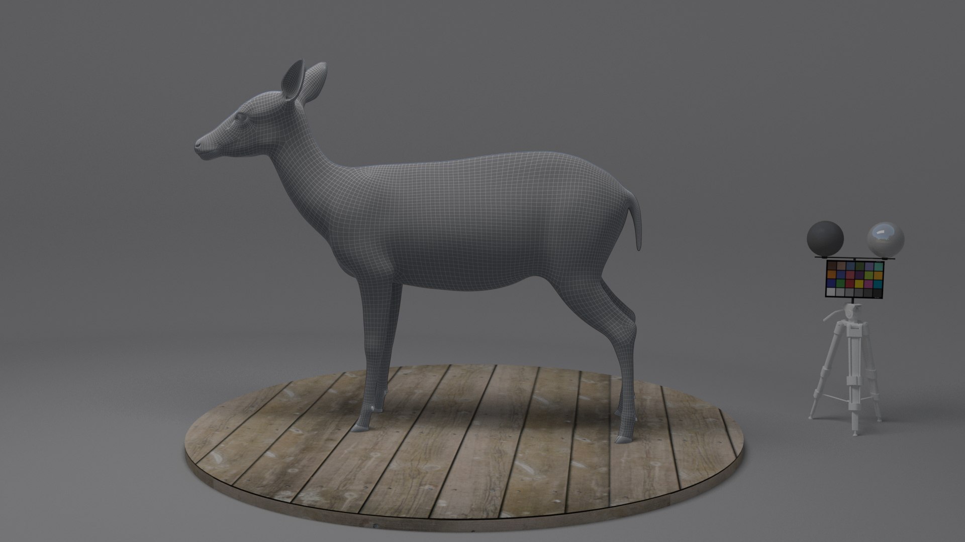 Asian Deer 3D Model - TurboSquid 2240933