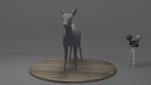 Asian Deer