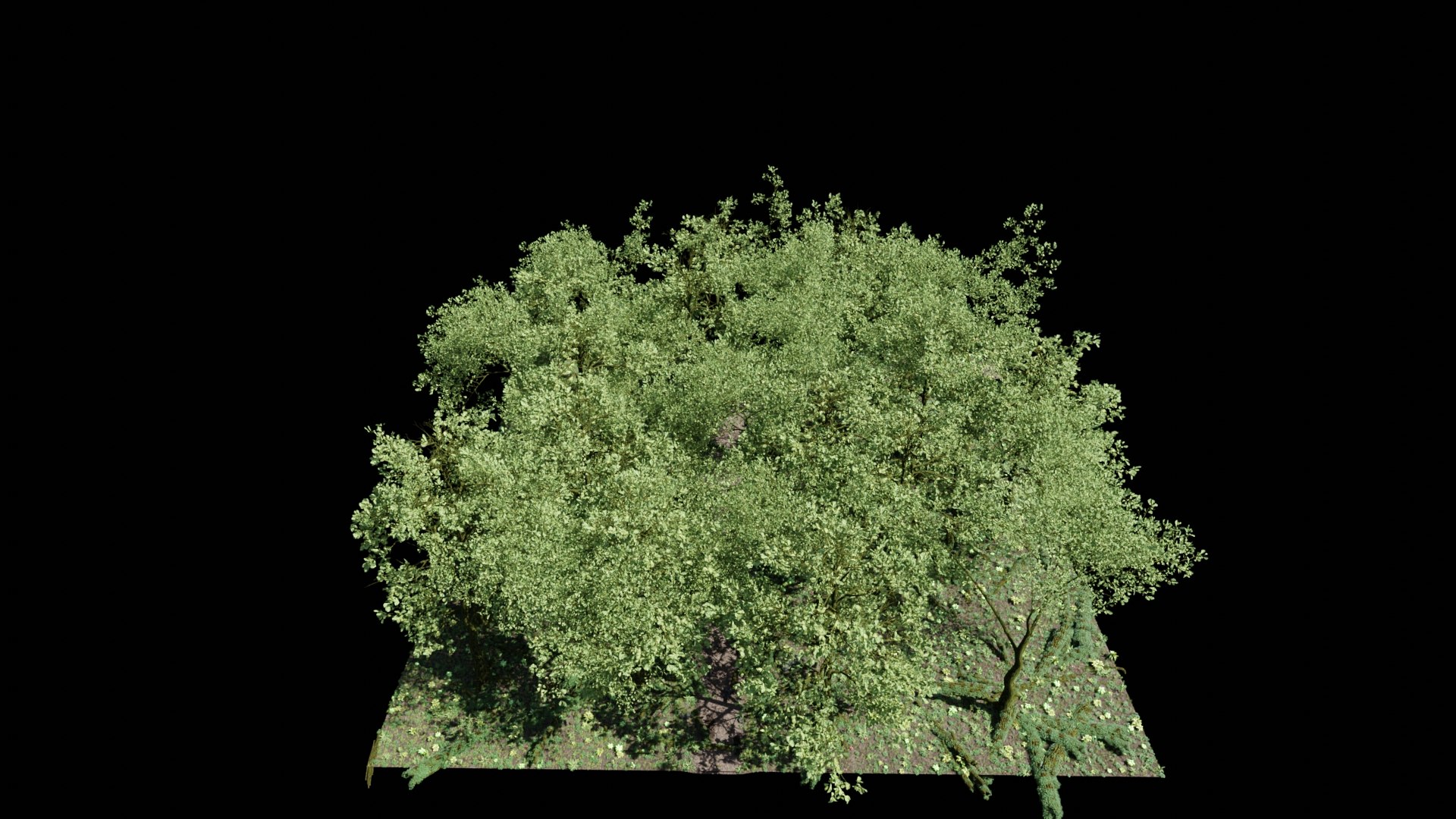 Forest Scene 3D https://p.turbosquid.com/ts-thumb/UK/5JpjHx/Rc/0008/jpg/1629264824/1920x1080/fit_q87/a5d8cf942269ac264dd316afb5b5fc0f8ca37363/0008.jpg