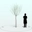 Willow Tree_005