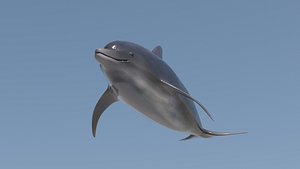3D Dolphin Ocean blue
