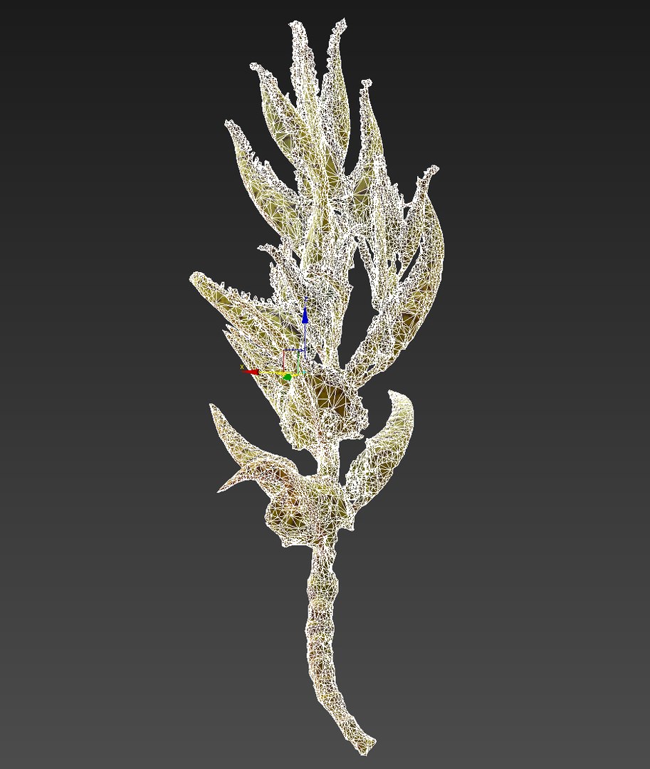 tropical plants scan 8k model https://p.turbosquid.com/ts-thumb/UK/ELLJ3r/lR3CFUhJ/7789/jpg/1565170402/1920x1080/fit_q87/a70068f09e56b949909715f8e2545b79e84377f7/7789.jpg