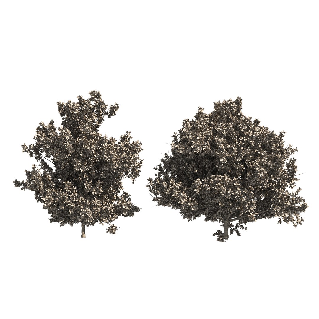 3D model 4 summer and fall Oak tree https://p.turbosquid.com/ts-thumb/UK/QJuzr3/6Y/wire01/jpg/1654644776/1920x1080/fit_q87/1ade4968d58b8e3223b896eb74db5a7d4094eb22/wire01.jpg