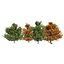 4 summer and fall Oak tree