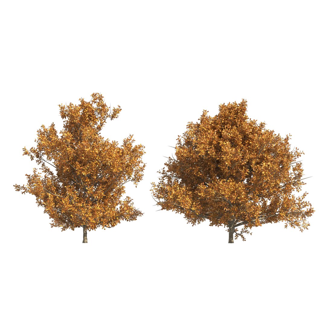 3D model 4 summer and fall Oak tree https://p.turbosquid.com/ts-thumb/UK/QJuzr3/cs/02pp/jpg/1654644766/1920x1080/fit_q87/44abf5d42c436f41b9dc8e347bb048e7ad0330a1/02pp.jpg