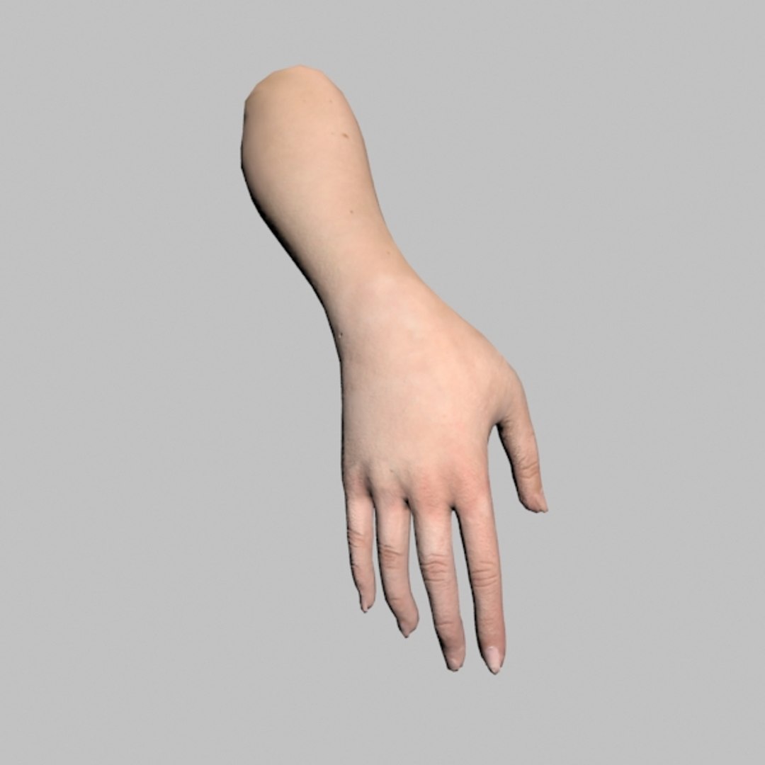 Female Hand 3d Model