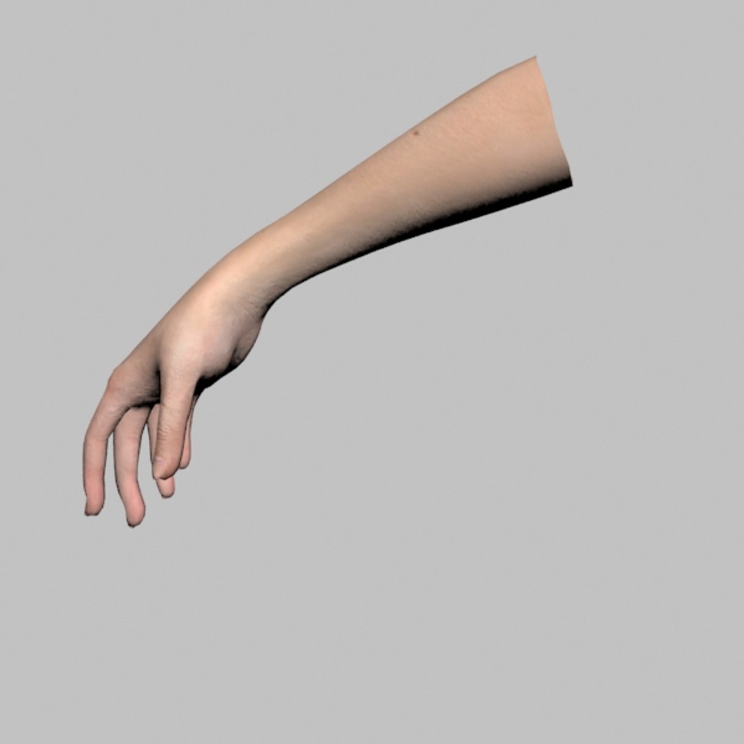 Female Hand 3d Model