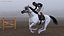 3D White Racing Horse with Jokey Gallop model
