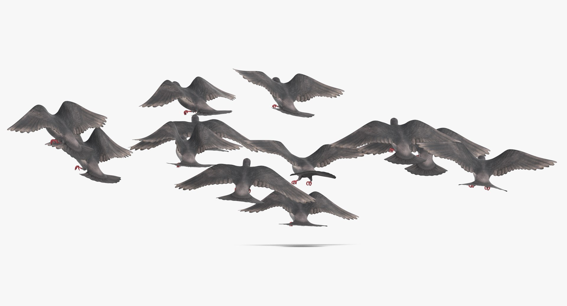 Flock Flying Small 01 Model - TurboSquid 1320346