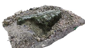 Mossy rock scan