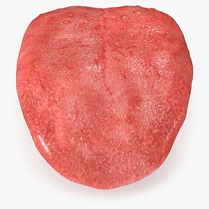 Tongue Rig 3ds MAX