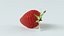 Conjunto de fresas