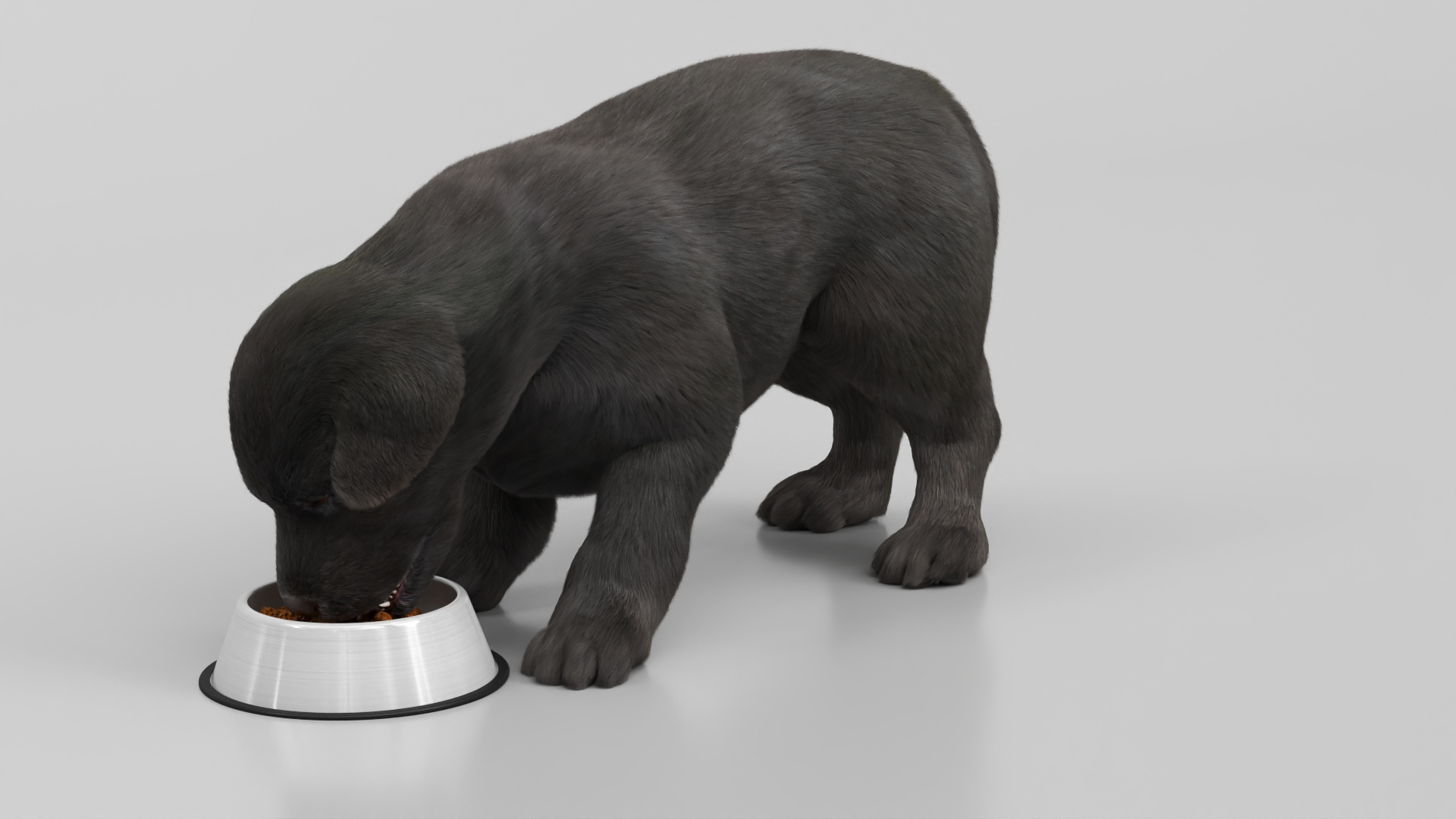 Labrador Retriever Puppy Eating Fur Animated Rigged For Maya model https://p.turbosquid.com/ts-thumb/UL/GRsKm6/0W/labrador_retriever_puppy_eating_fur_animated_rigged_for_maya_360/jpg/1773783852/1920x1080/turn_fit_q99/2e27f1606e2d47f2c481e8f850f0bf6aa6e43408/labrador_retriever_puppy_eating_fur_animated_rigged_for_maya_360-1.jpg