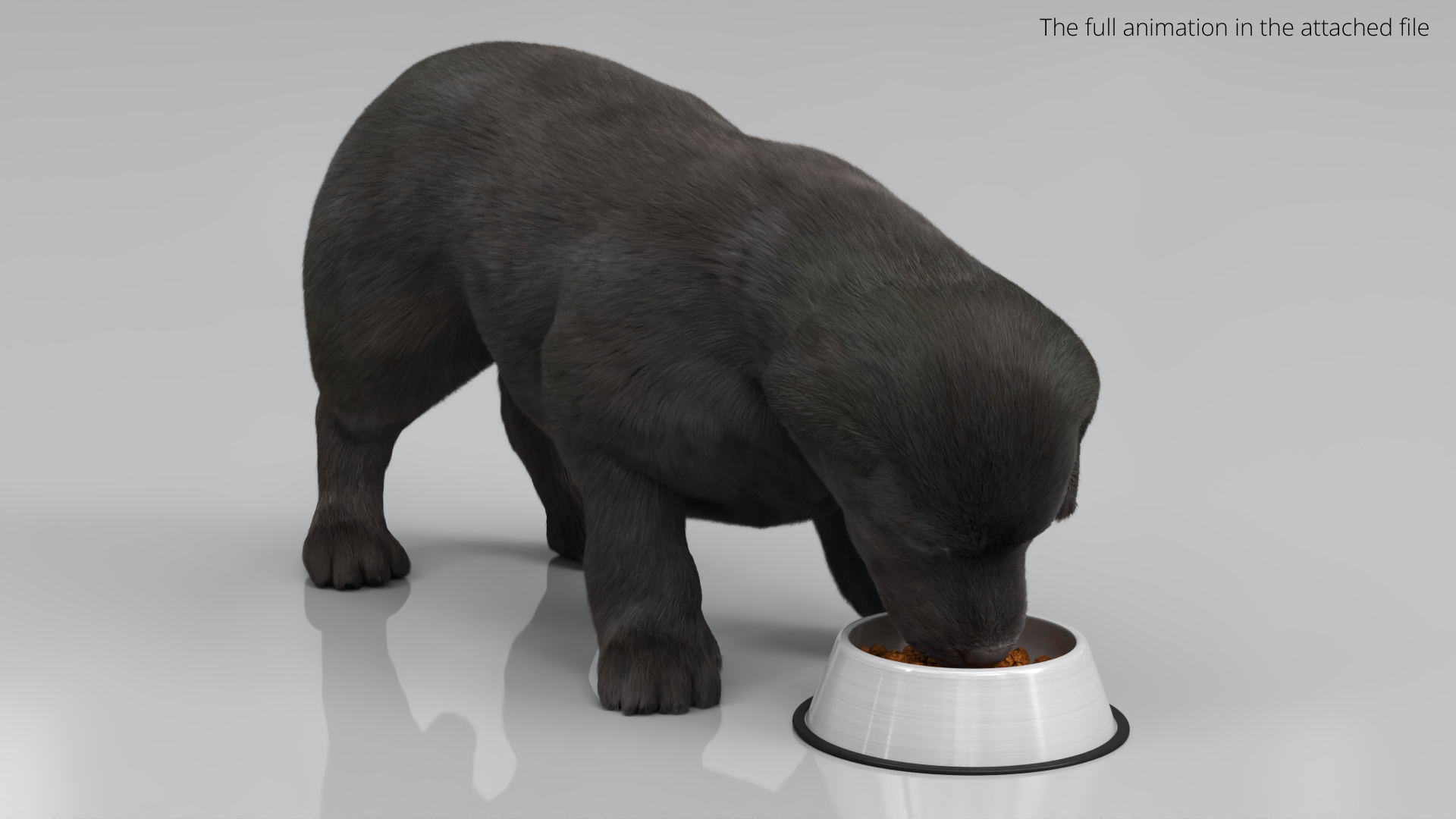 Labrador Retriever Puppy Eating Fur Animated Rigged For Maya model https://p.turbosquid.com/ts-thumb/UL/GRsKm6/Xb/labrador_retriever_puppy_eating_fur_animated_rigged_for_maya_362/jpg/1773816481/1920x1080/turn_fit_q99/1e1fb82bb7fae0431656e71d5ce46c2373e9bfd4/labrador_retriever_puppy_eating_fur_animated_rigged_for_maya_362-1.jpg