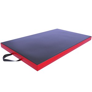 3D model Exercise Mattress 7