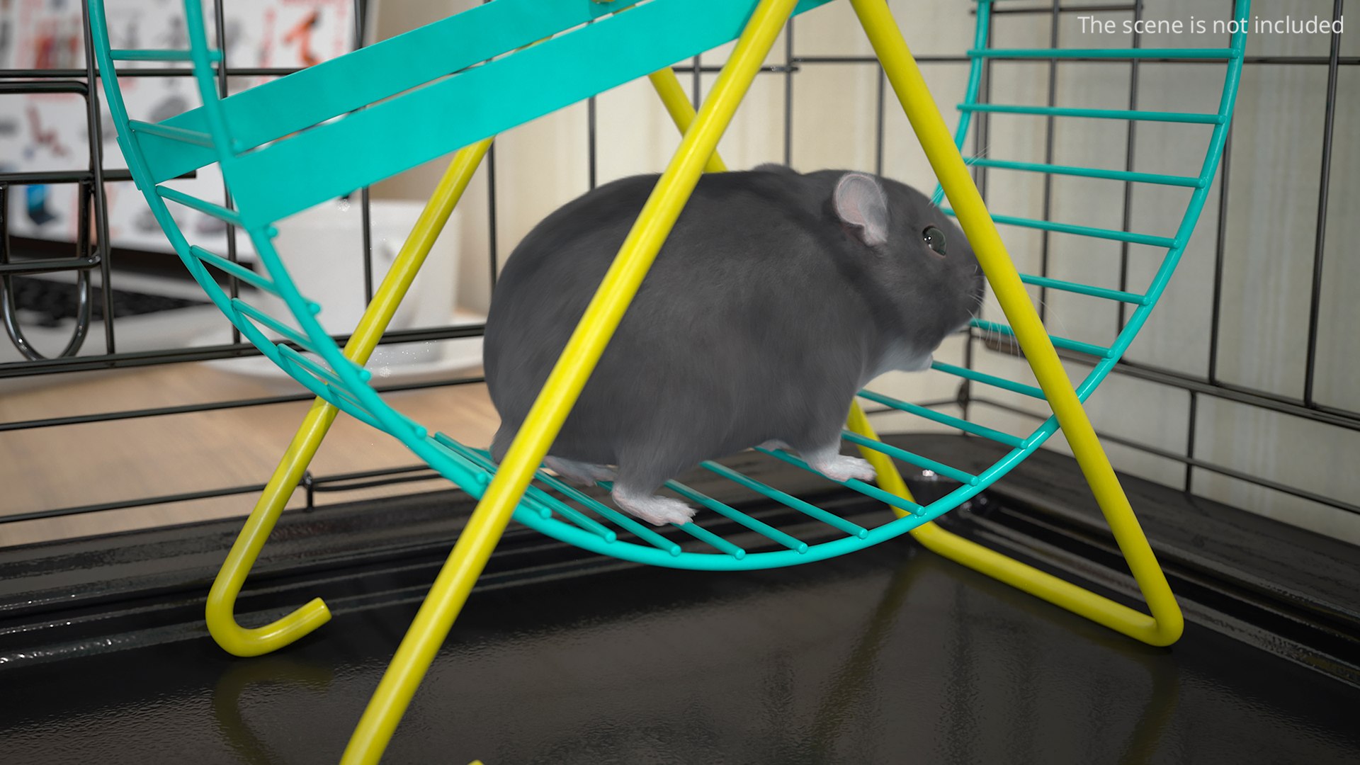 Dwarf Hamster Gray Fur Rigged 3D model https://p.turbosquid.com/ts-thumb/UL/JAHxoI/gi/dwarf_hamster_gray_fur_rigged_004/jpg/1755850544/1920x1080/fit_q87/64bb56113a6491696699987555b6c4f5ba421afe/dwarf_hamster_gray_fur_rigged_004.jpg