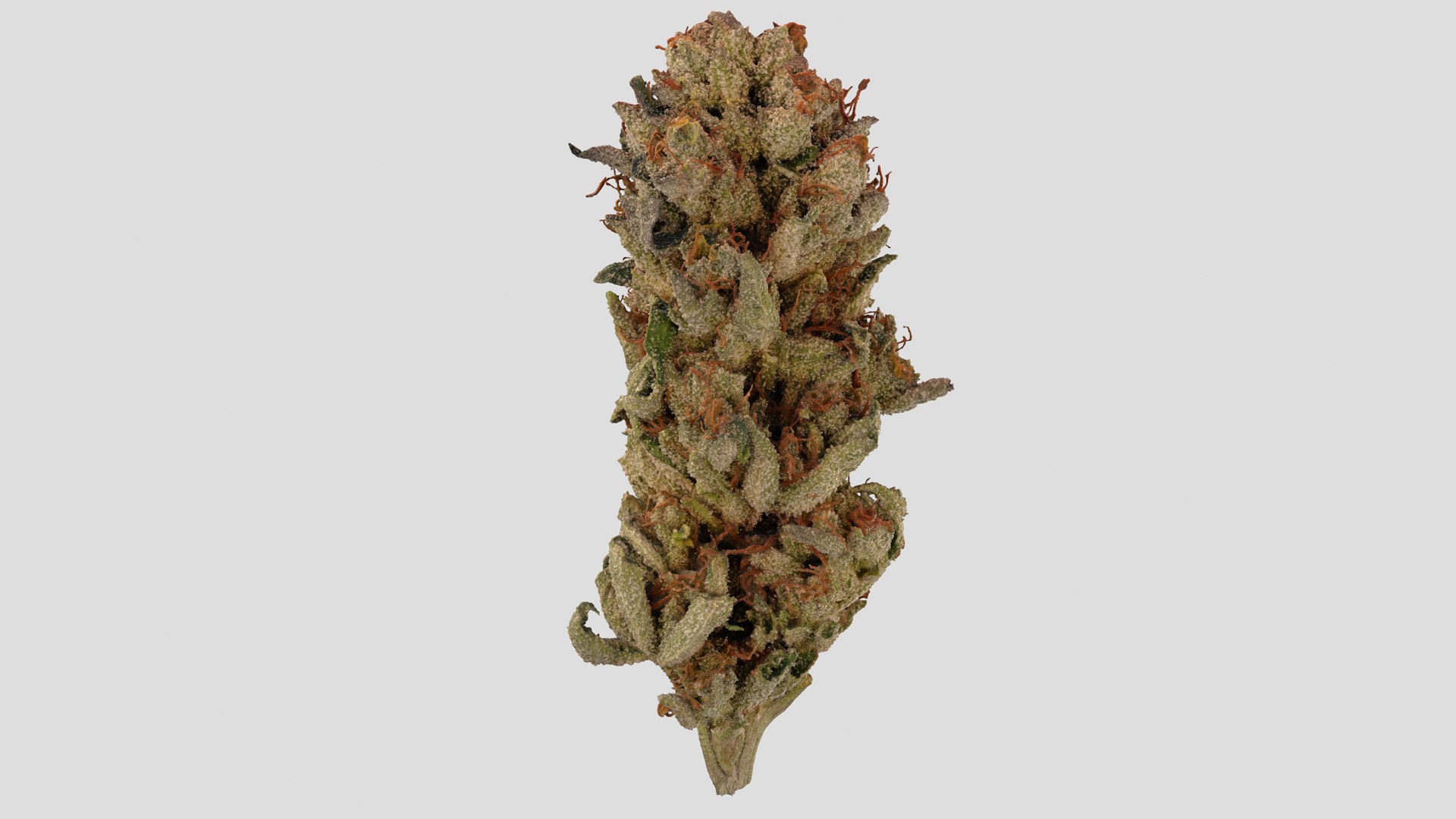 3D Mr Melon Cannabis Bud https://p.turbosquid.com/ts-thumb/UL/JD24aF/9n/mrmelon_r3/png/1670558457/1920x1080/fit_q87/19eca3a8fef891af1233cf8aef9a550def2e55e5/mrmelon_r3.jpg