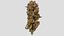 Mr Melon Cannabis Bud