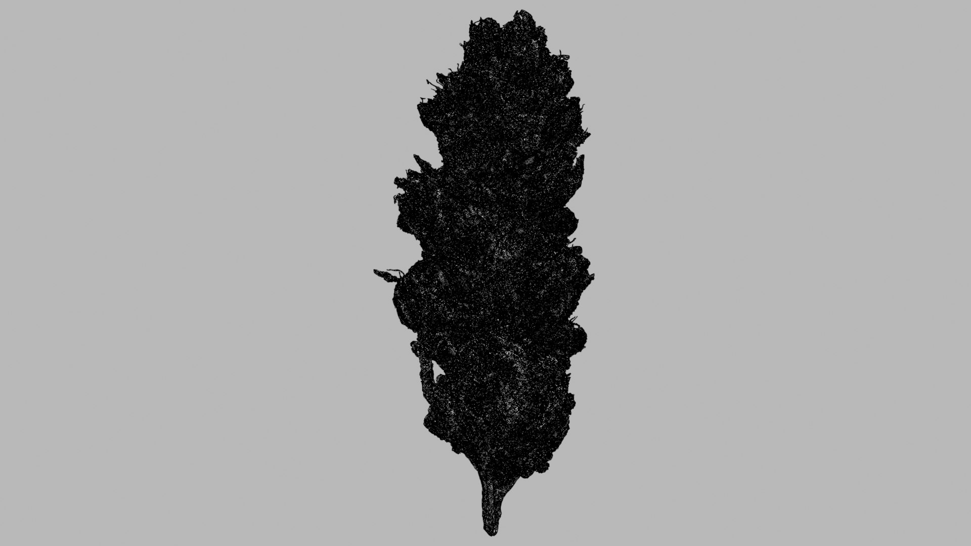 3D Mr Melon Cannabis Bud https://p.turbosquid.com/ts-thumb/UL/JD24aF/9x/mrmelon_r1w/png/1670559170/1920x1080/fit_q87/cf0f1c11ee65910f1f00180a1806eadfac833553/mrmelon_r1w.jpg