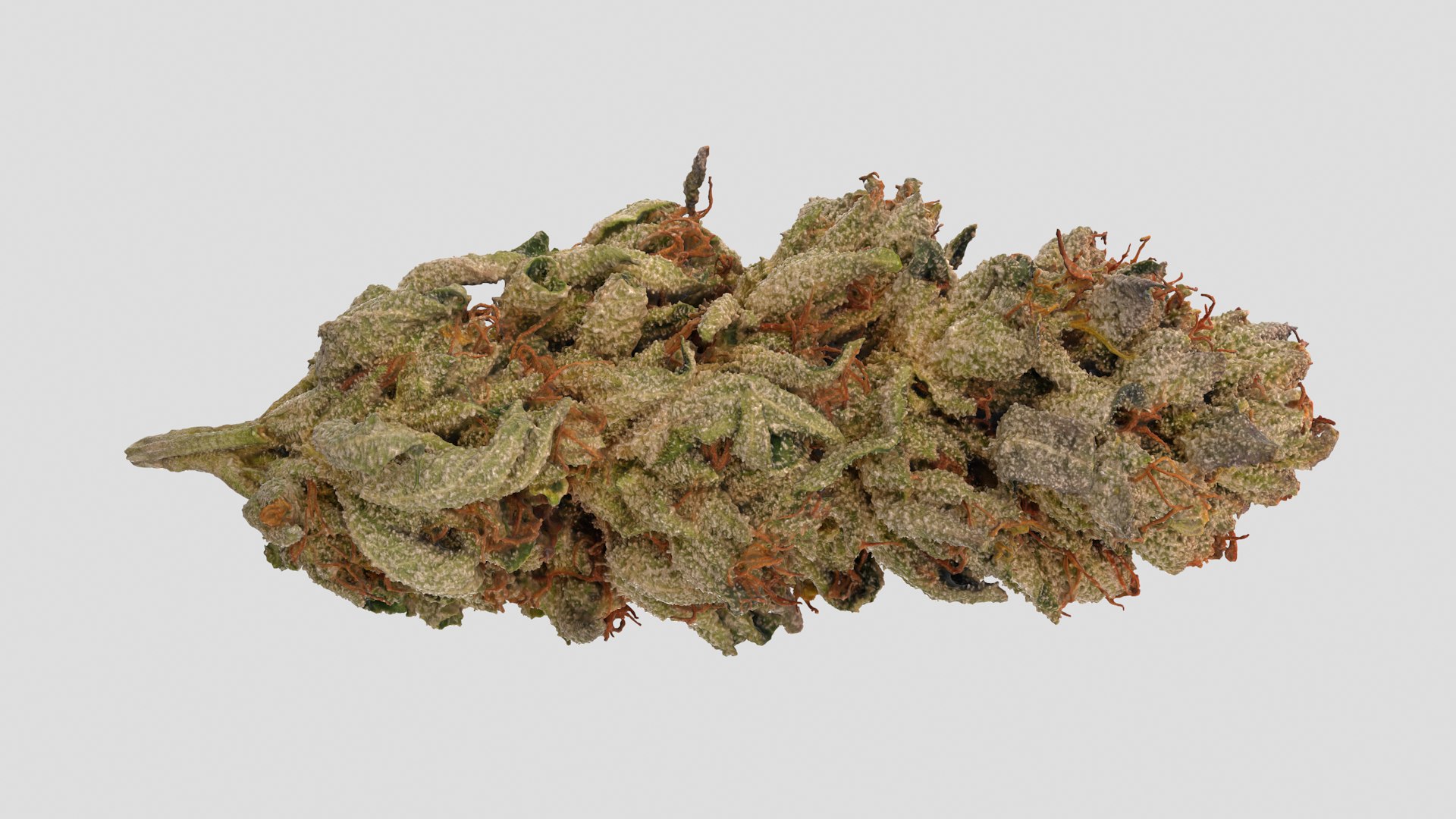 3D Mr Melon Cannabis Bud https://p.turbosquid.com/ts-thumb/UL/JD24aF/Ax/mrmelon_r5/png/1670558459/1920x1080/fit_q87/533e81be7b4dac4348bfdc8cad13799074e3543a/mrmelon_r5.jpg