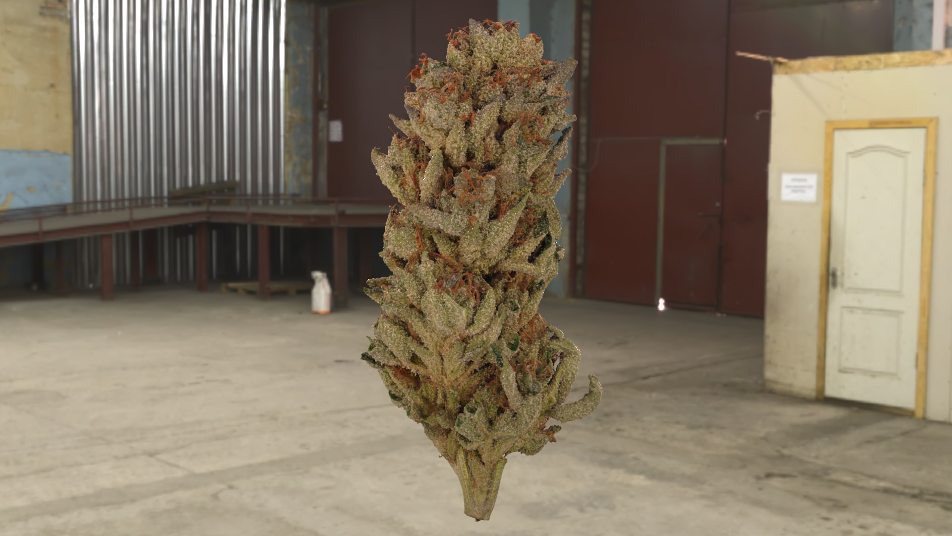3D Mr Melon Cannabis Bud https://p.turbosquid.com/ts-thumb/UL/JD24aF/LQ/mrmelon_r2c/png/1670558456/1920x1080/fit_q87/8bb6831b58672d21390f2648f52e4ca7b10b7e2f/mrmelon_r2c.jpg