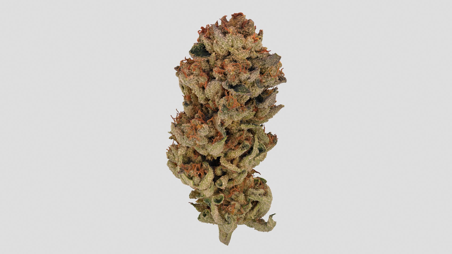 3D Mr Melon Cannabis Bud https://p.turbosquid.com/ts-thumb/UL/JD24aF/RQ/mrmelon_r6/png/1670558458/1920x1080/fit_q87/8a93799877d827dffb483abf2389d479d33eefb7/mrmelon_r6.jpg