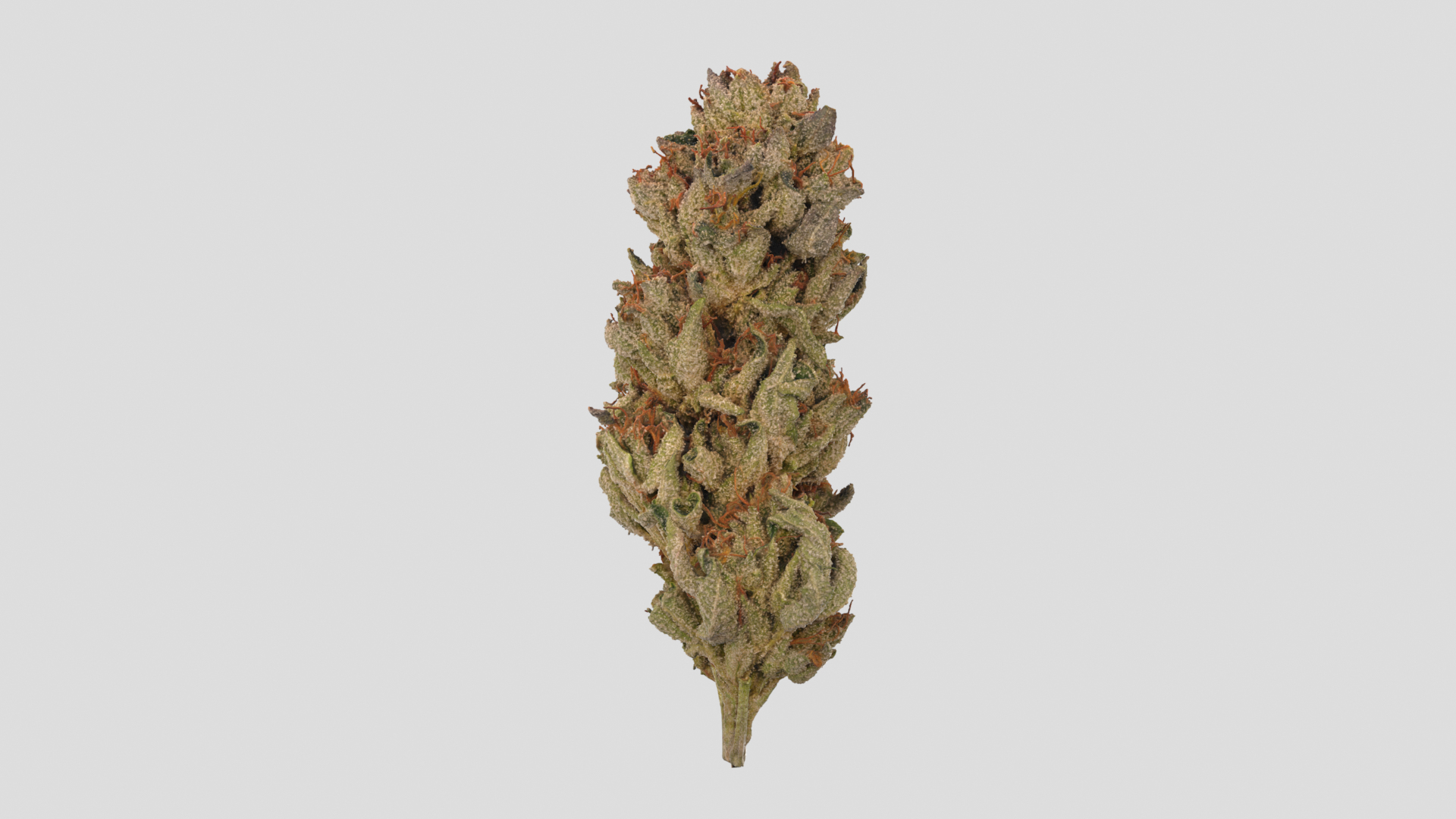 3D Mr Melon Cannabis Bud https://p.turbosquid.com/ts-thumb/UL/JD24aF/os/mrmelontt/png/1670558465/1920x1080/turn_fit_q99/ac5e7952599fe77dbccd827b1bc85f07386d908b/mrmelontt-1.jpg