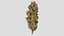 Mr Melon Cannabis Bud
