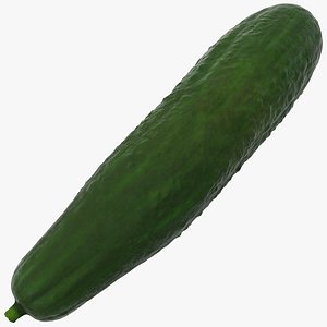 cucumber 2 3d model