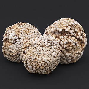 Stone XVII 3D model